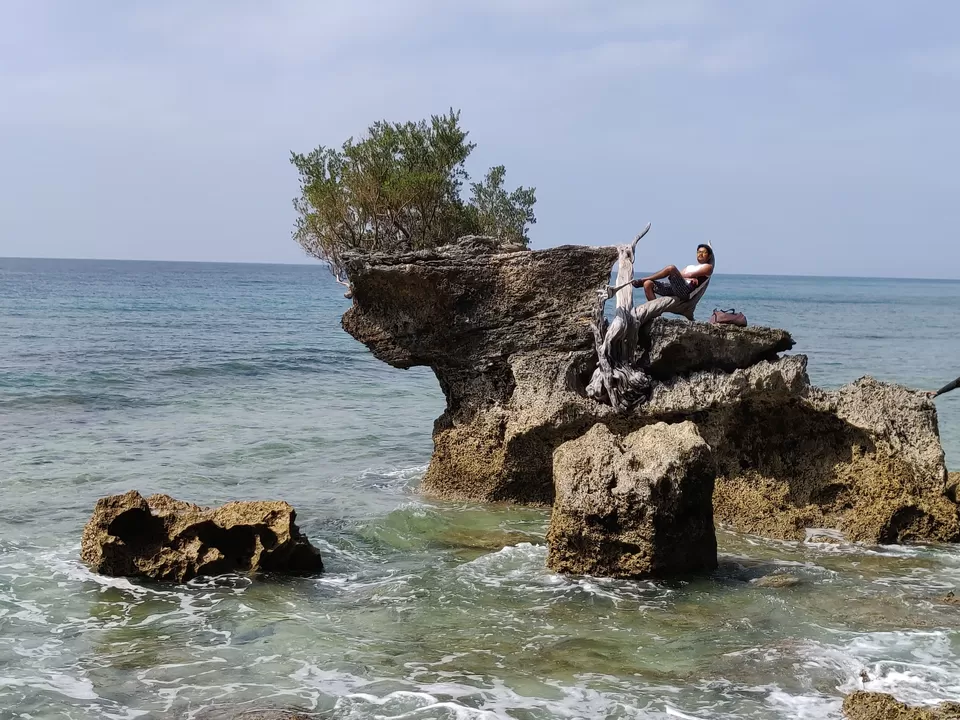 Photo of Neil Island, Andaman and Nicobar Islands by Aditya Mehetre
