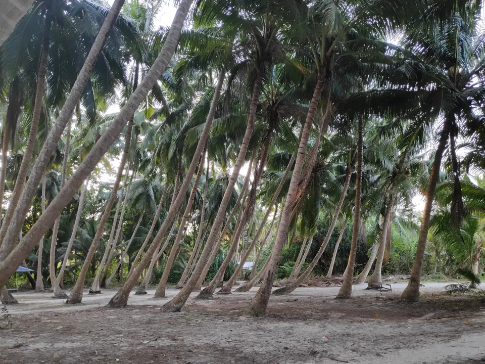 Photo of Family Time in Andamans by Aditya Mehetre