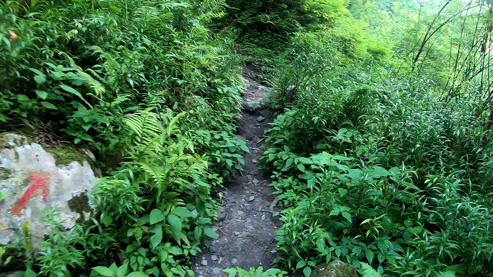 Photo of Authentic and real culture of Himachal Pradesh, Offbeat trek in Kasol, #Goneoffbeat 3/15 by pooja