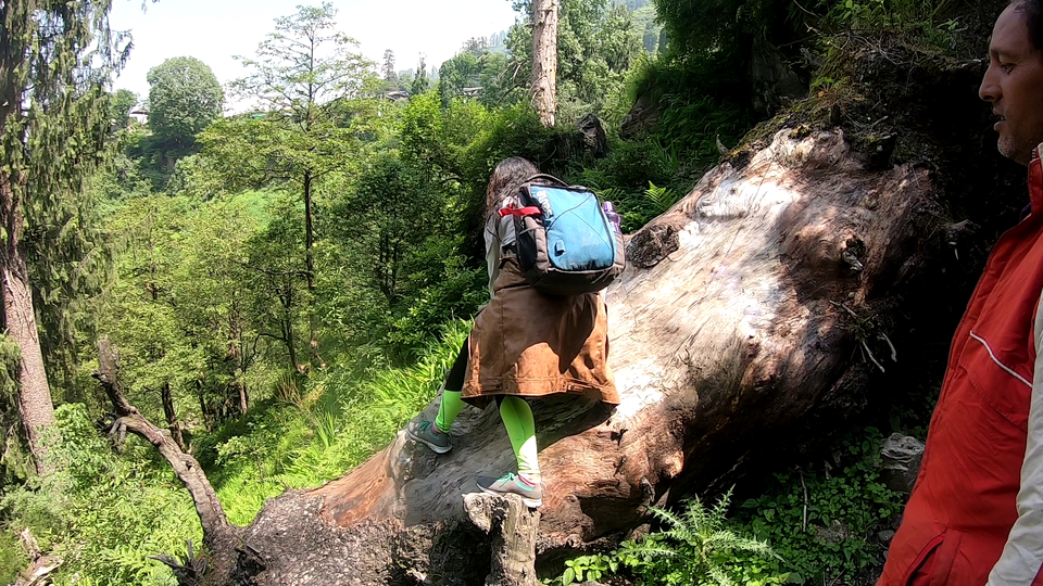 Photo of Authentic and real culture of Himachal Pradesh, Offbeat trek in Kasol, #Goneoffbeat 5/15 by pooja