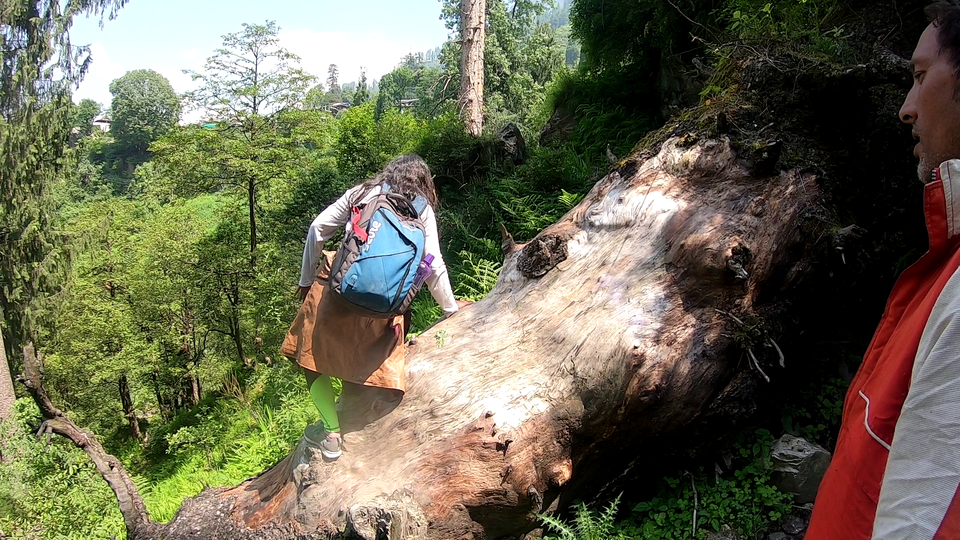 Photo of Authentic and real culture of Himachal Pradesh, Offbeat trek in Kasol, #Goneoffbeat 6/15 by pooja