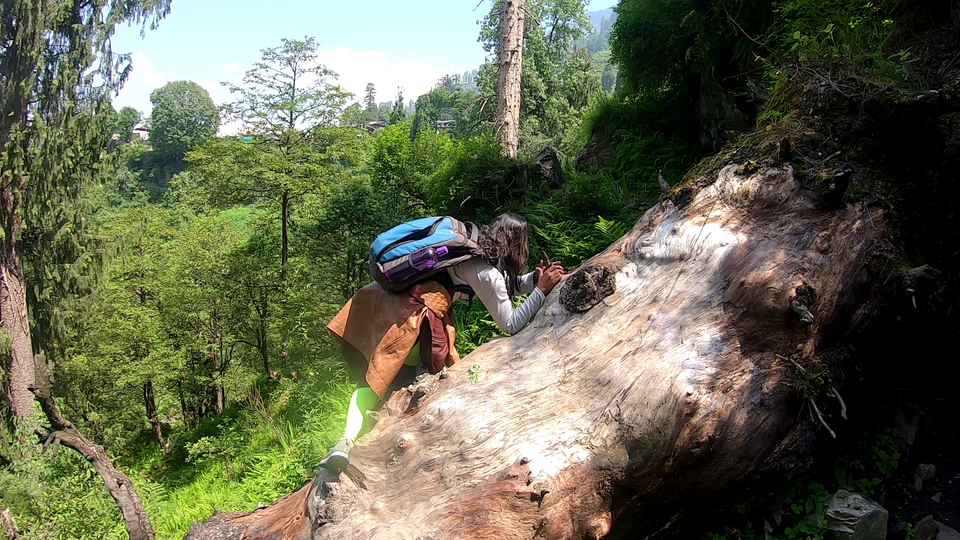 Photo of Authentic and real culture of Himachal Pradesh, Offbeat trek in Kasol, #Goneoffbeat 7/15 by pooja