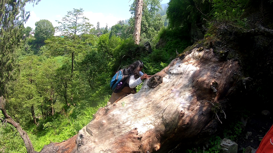 Photo of Authentic and real culture of Himachal Pradesh, Offbeat trek in Kasol, #Goneoffbeat 8/15 by pooja