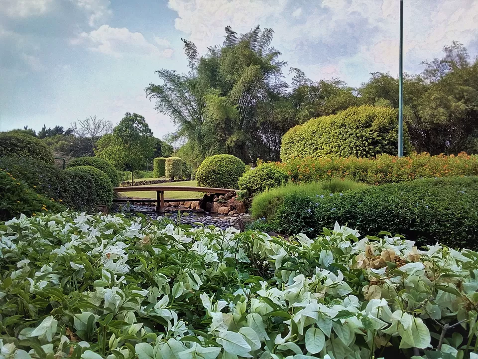 Photo of Pune-Okayama Friendship Garden, Sinhgad Road, Pune Okayama Friendship Garden, Dattawadi, Pune, Maharashtra, India by Gayathri Anand