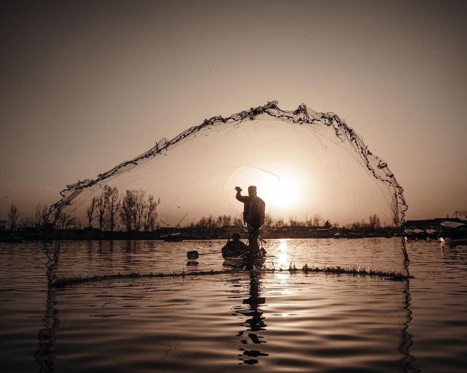 Photo of Dal Lake and the Colors of Twilight 4/8 by Omar Bazaz