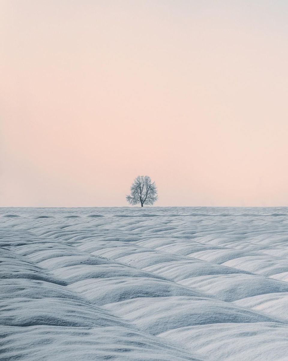Photo of Minimalism and the Mighty Himalayas 1/4 by Omar Bazaz