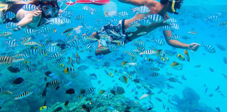 Photo of Andaman Tour Packages 5/7 by Asap