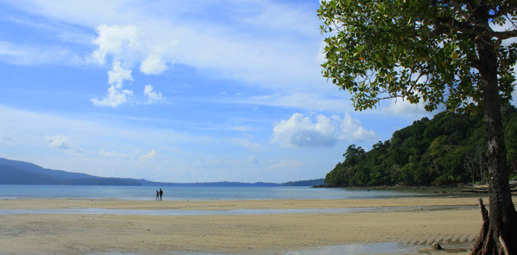 Photo of Andaman Tour Packages 6/7 by Asap