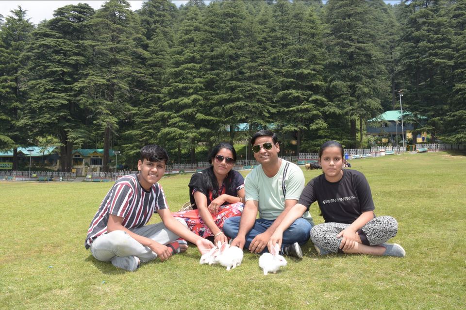 Photo of सिर्फ 40000 से भी कम में करे परिवार सहित हरियाली व बर्फीले मैदान का सुहाना सफर by B D Sharma