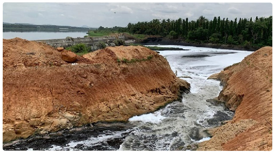 Photo of The Lost River Of Bengaluru: A closer look at River Vrishabhavathi 1/1 by riyasingh