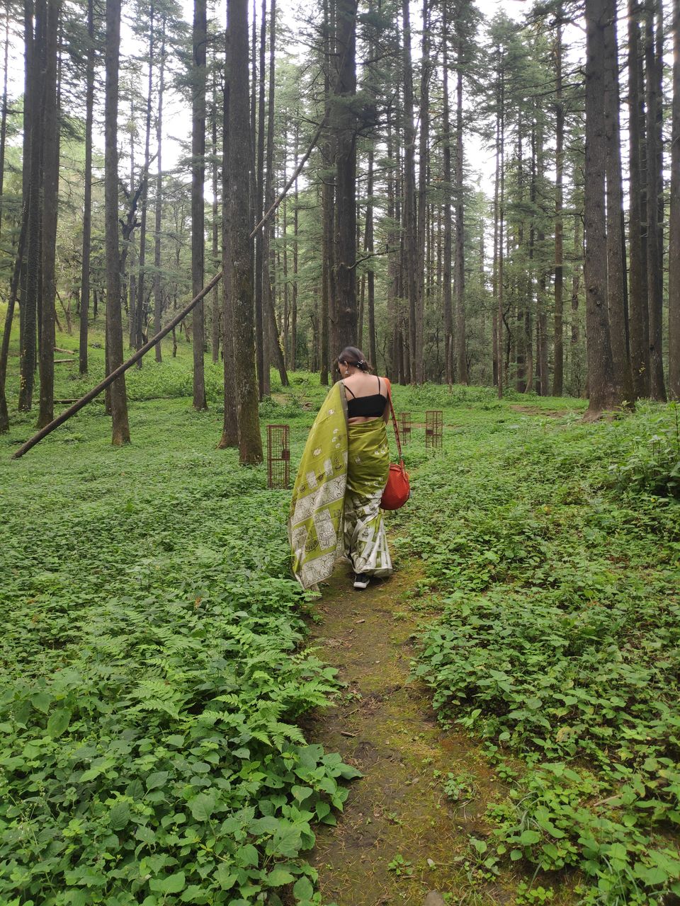 Photo of देव भूमि उत्तराखंड जिसके कण-कण में महादेव by Travel sutra Suman's way