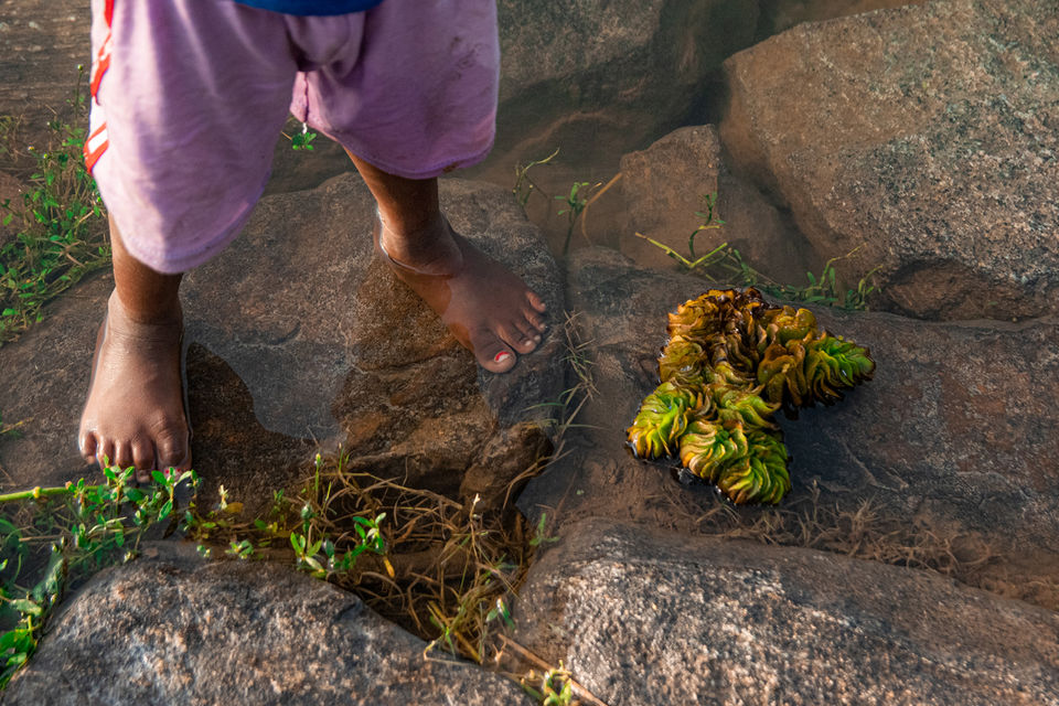 Photo of Gar Panchkot, West Bengal, India by Navoniloy Bhaumik