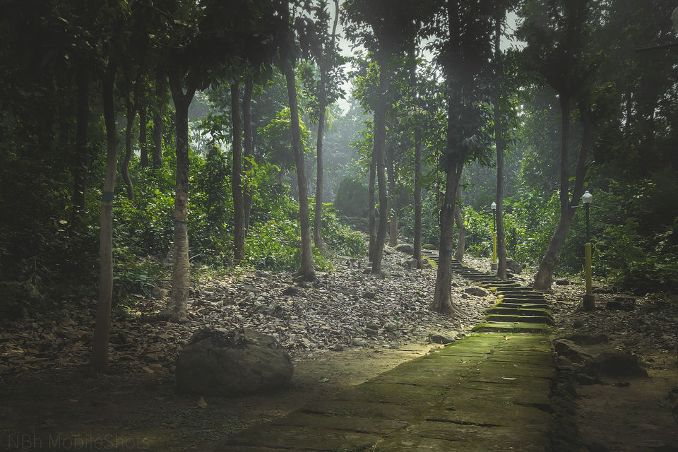 Photo of From Baranti to the forests of Garh Panchkot, Purulia by Navoniloy Bhaumik