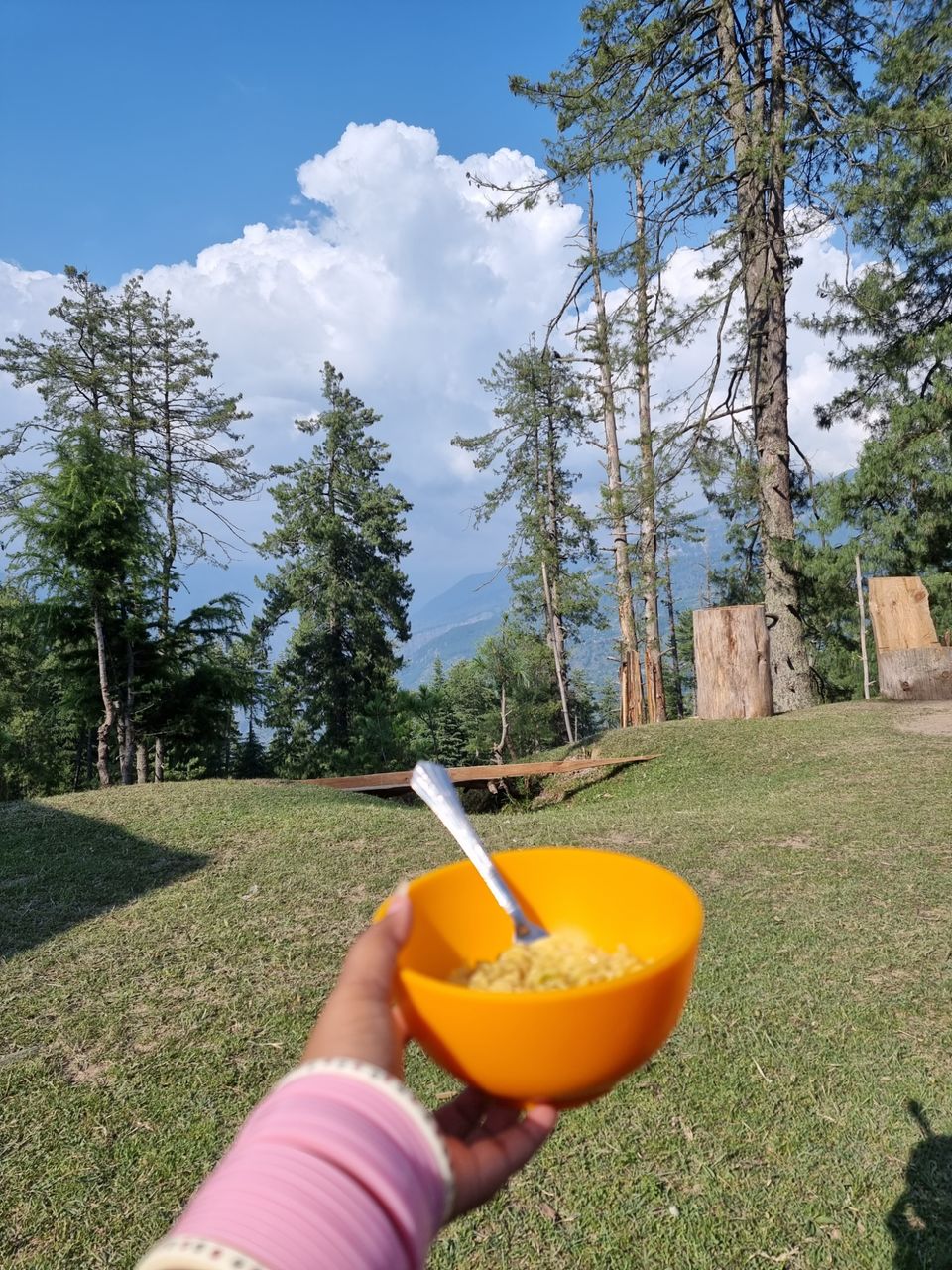 Photo of Bijli Mahadev Trek by Ritika Rao