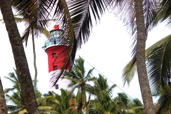 Photo of A small tour to Kovalam - The evergreen City of India #tripotocommunity #kerala #travelphotography by Process of Traveling