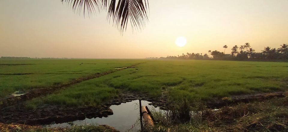 Photo of Below Sea-level Farming System Practiced by This Indian State Blew My Mind by Shruthi Sundaram