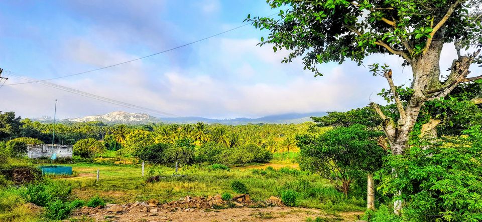 Photo of Nelligudde Kere - This Offbeat Lake in Bangalore Is the Perfect One-day Trip! #MeraShandarBharat 5/8 by Shruthi Sundaram