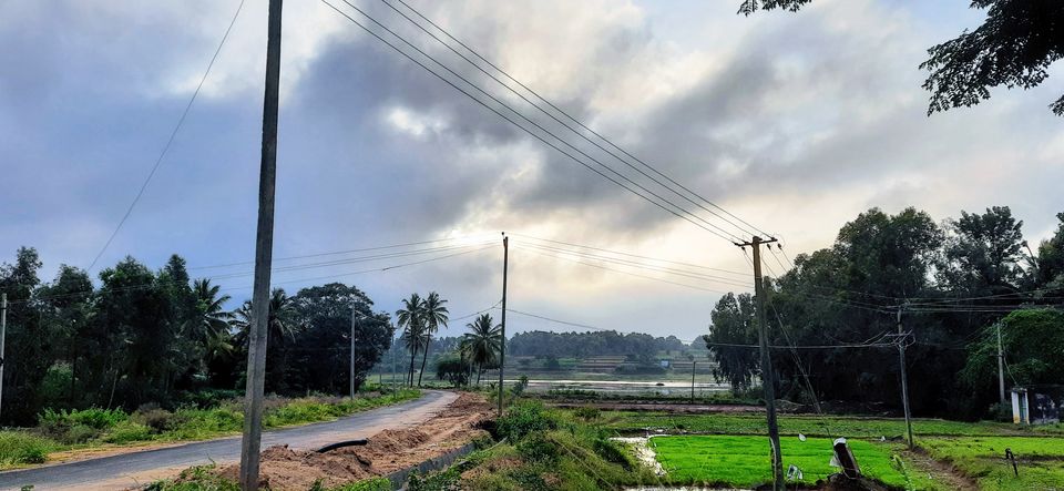 Photo of Nelligudde Kere - This Offbeat Lake in Bangalore Is the Perfect One-day Trip! #MeraShandarBharat 7/8 by Shruthi Sundaram