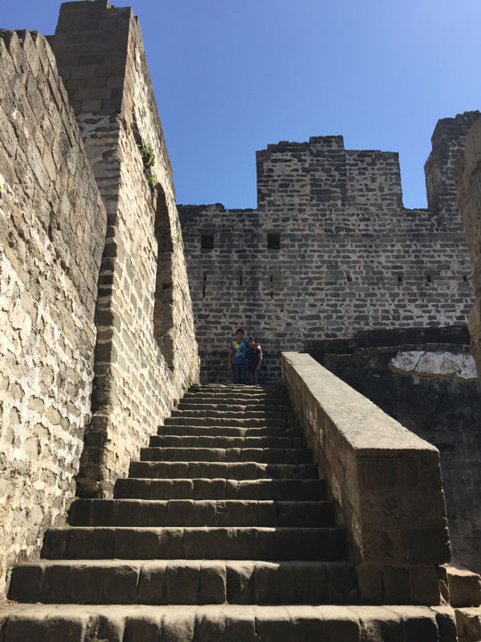 Photo of Kangra Fort - Worth a Visit 5/7 by Amit
