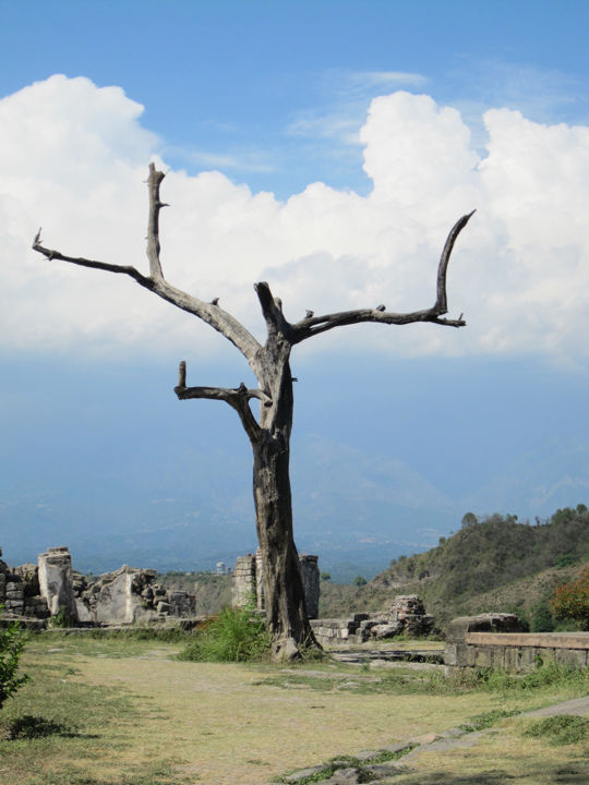 Photo of Kangra Fort - Worth a Visit 7/7 by Amit