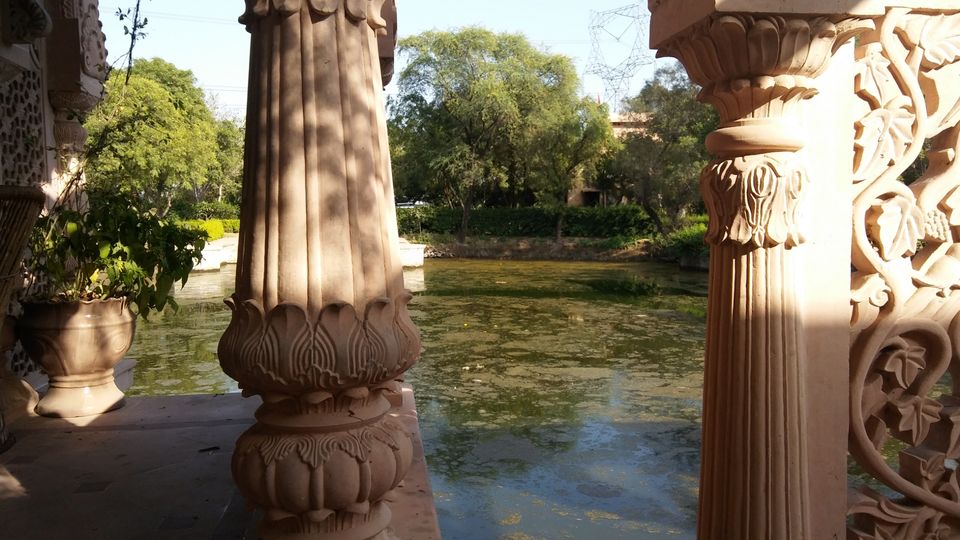 Photo of Vrindavan - Vrinda Tulsi Garden by Vihang Suryavanshi