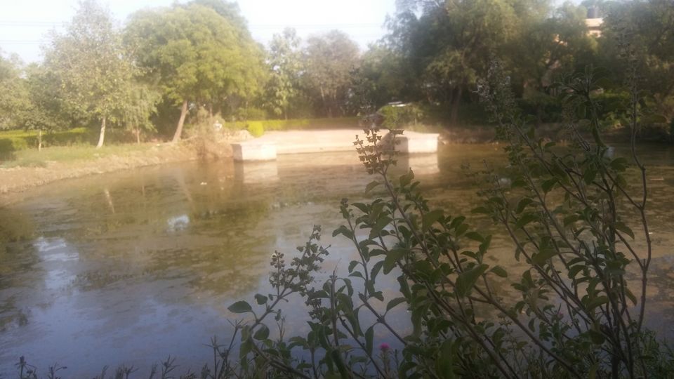 Photo of Vrindavan - Vrinda Tulsi Garden by Vihang Suryavanshi