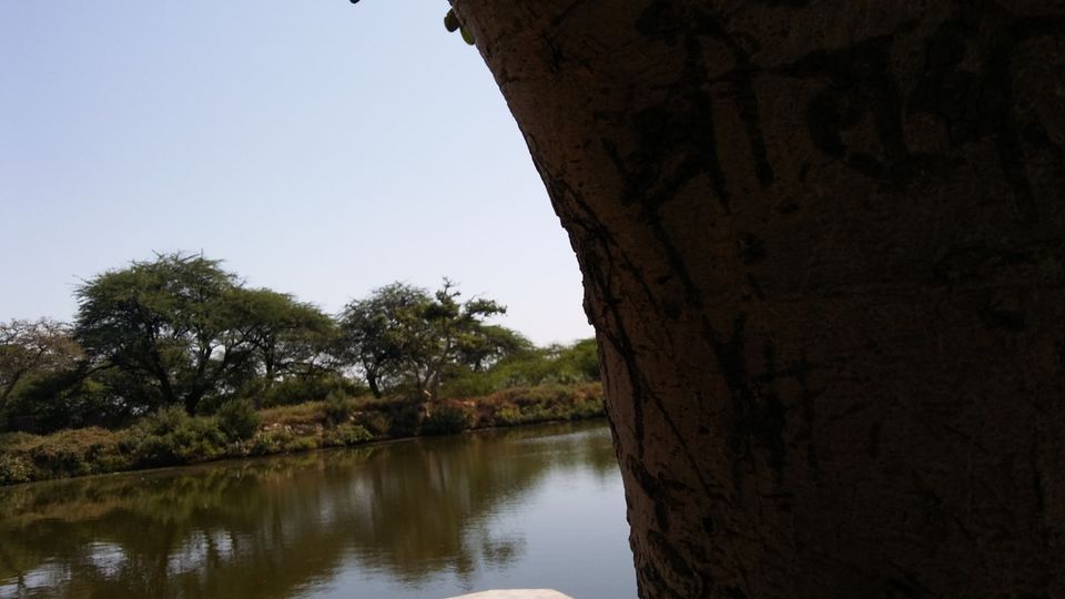 Photo of Vrindavan - Vrinda Tulsi Garden by Vihang Suryavanshi