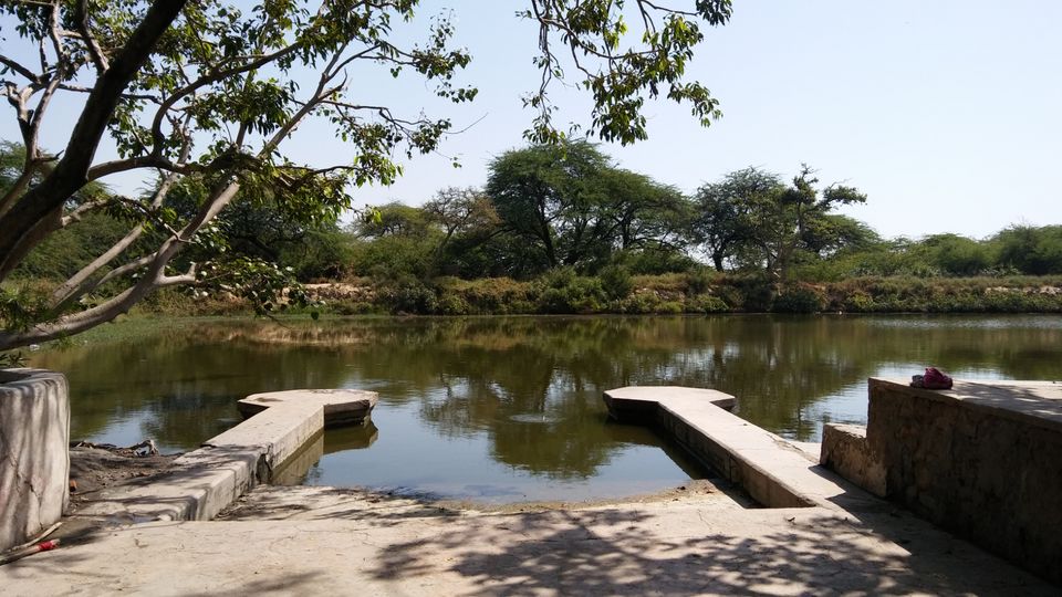 Photo of Vrindavan - Vrinda Tulsi Garden by Vihang Suryavanshi
