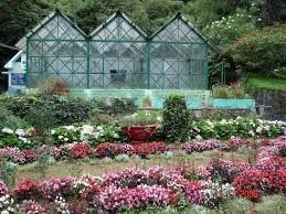 Photo of 10+ Places To Visit In Ooty | That You Must Never Miss | Aris Diaries 1/11 by Abdul Rahman