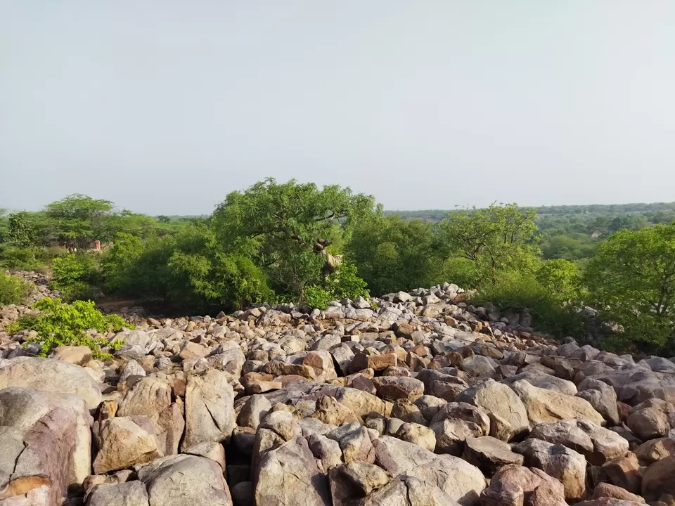Photo of परसोन मंदिर, फरीदाबाद by Sunil Sharma