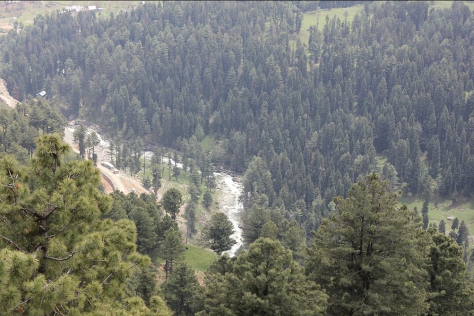 Photo of Gulmarg by Preethi Salopanthula