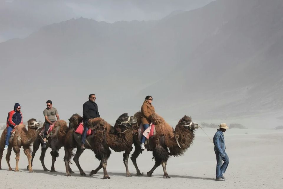 Photo of Nubra Valley by Preethi Salopanthula