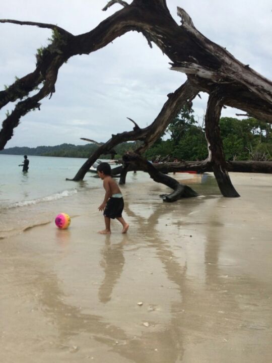 Photo of Andaman - Havelock by Preethi Salopanthula