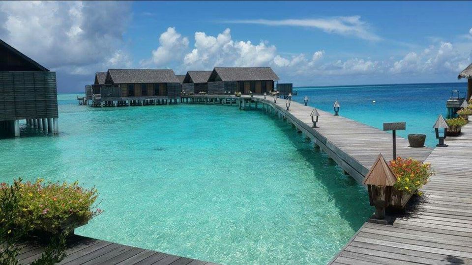 Photo of Gangehi, Alifu Alifu Atoll, North Central Province, Maldives by Preethi Salopanthula