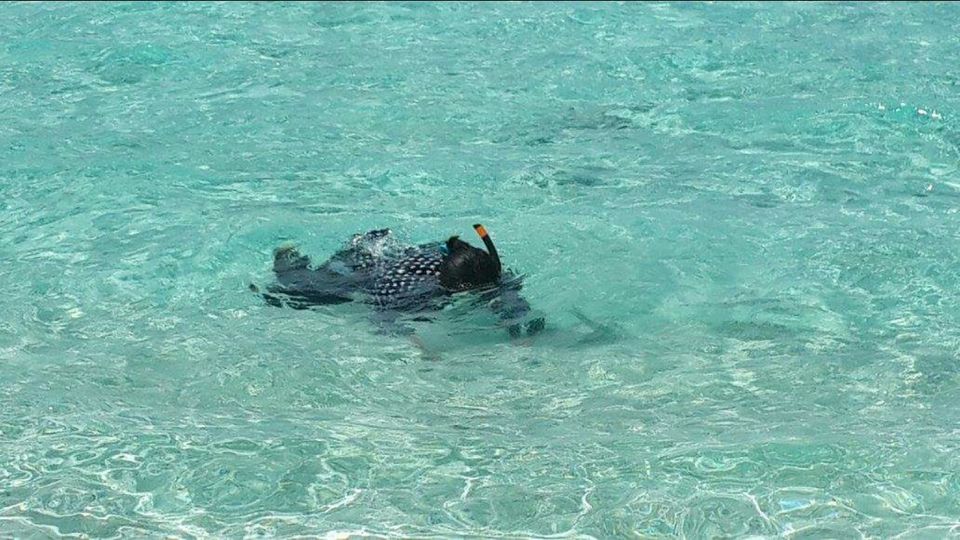 Photo of Gangehi, Alifu Alifu Atoll, North Central Province, Maldives by Preethi Salopanthula