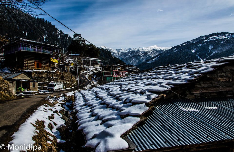 Photo of Finding Snow 1/1 by Monidipa Bose