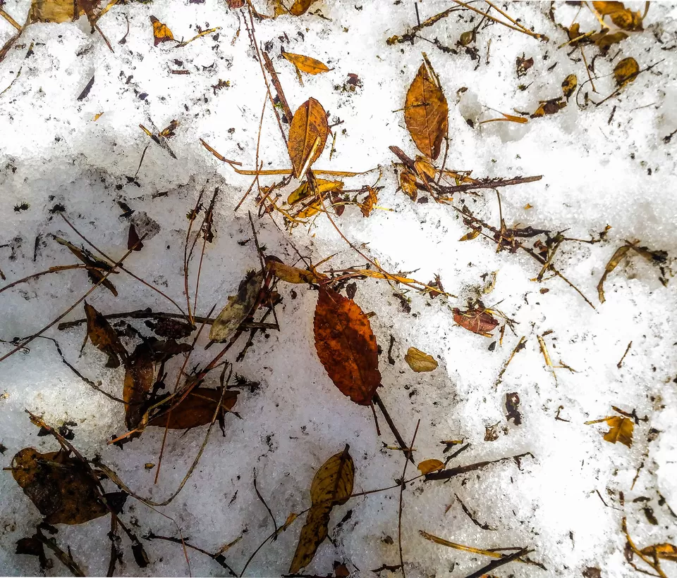 Photo of Jana Waterfall, Jana, Himachal Pradesh, India by Monidipa Bose