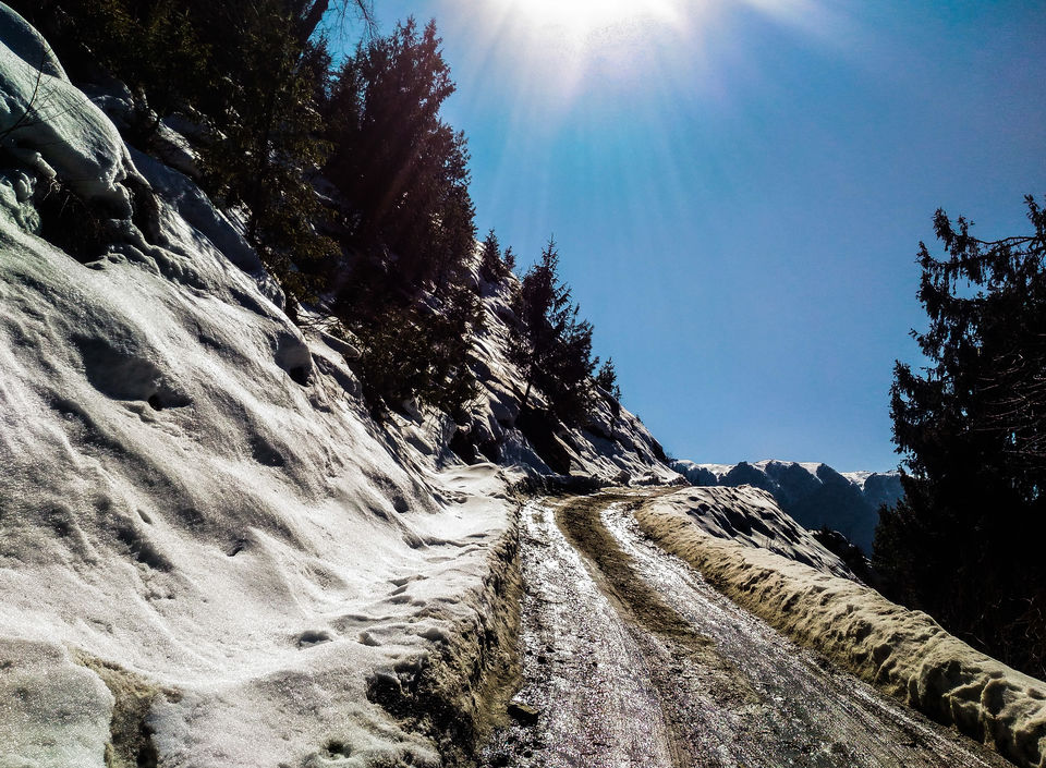 Photo of Few km up from Sojha by Monidipa Bose