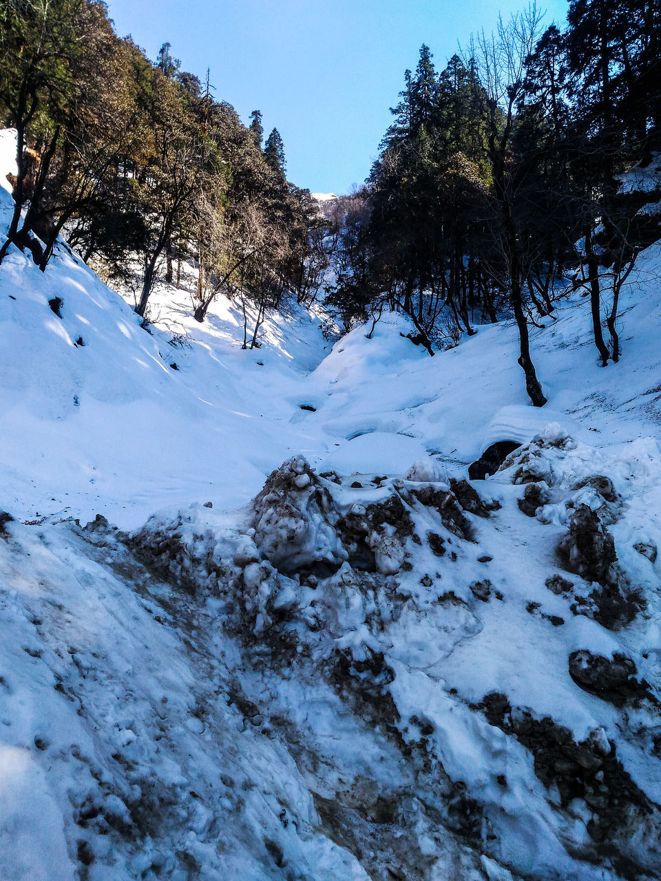 Photo of near jalori pass by Monidipa Bose