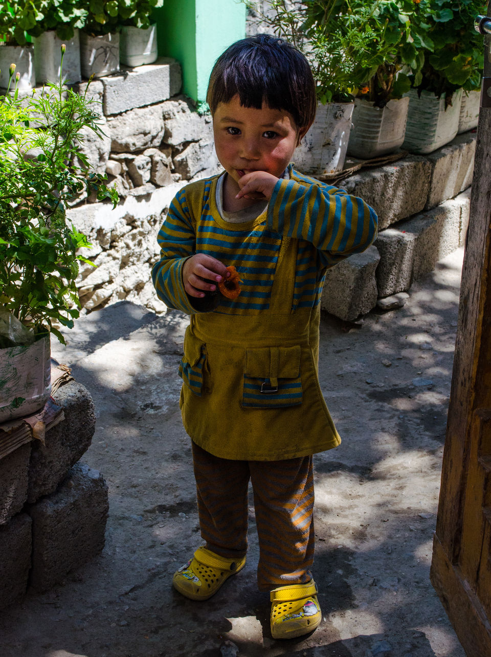 Photo of Exploring Turtuk by Monidipa Bose