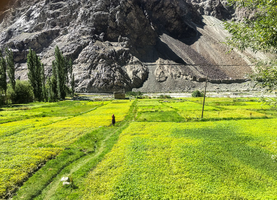Photo of Exploring Turtuk by Monidipa Bose