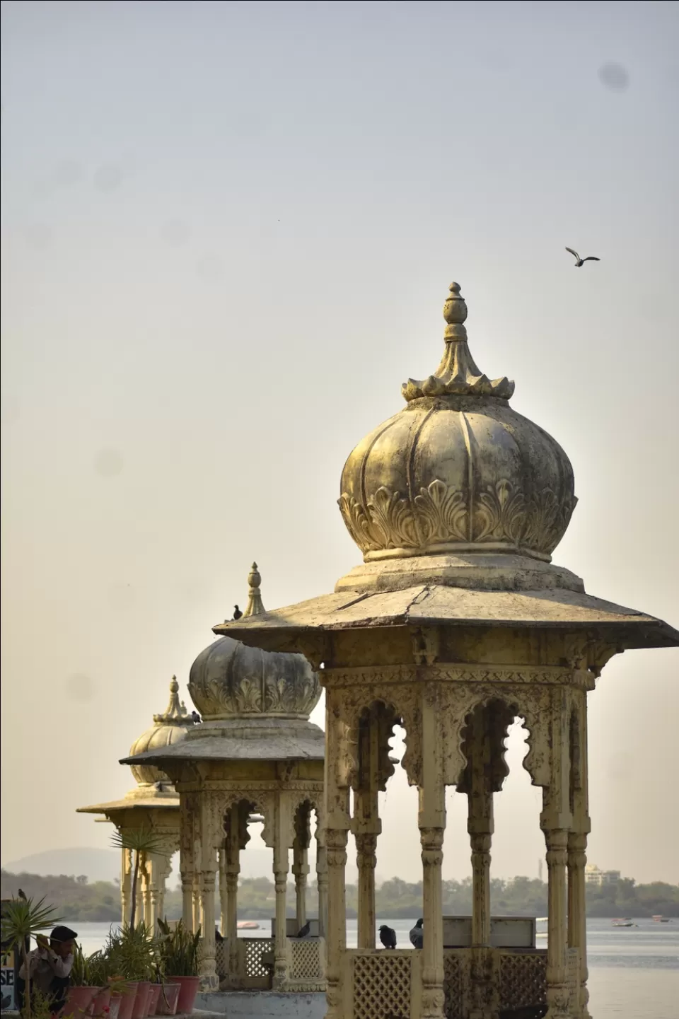 Photo of My Udaipur trip by bharat s bisht