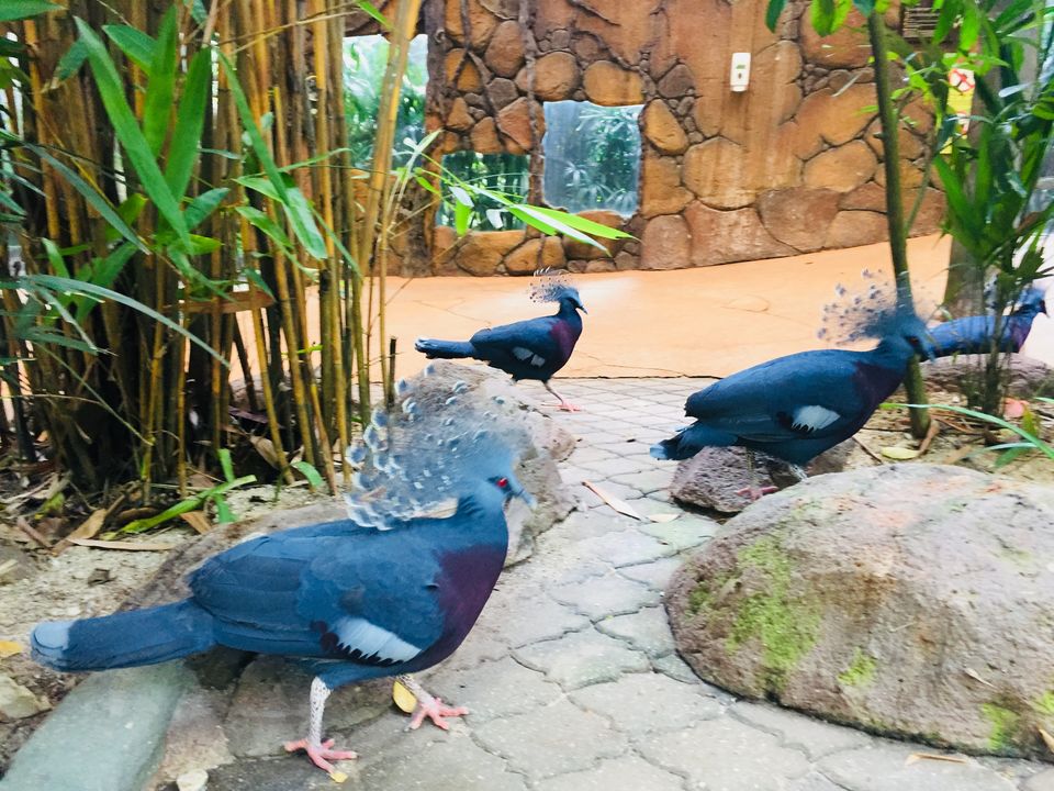 Photo of Sunway Lagoon Theme Park, Bandar Sunway, Subang Jaya, Selangor, Malaysia by AtharVa LeLe