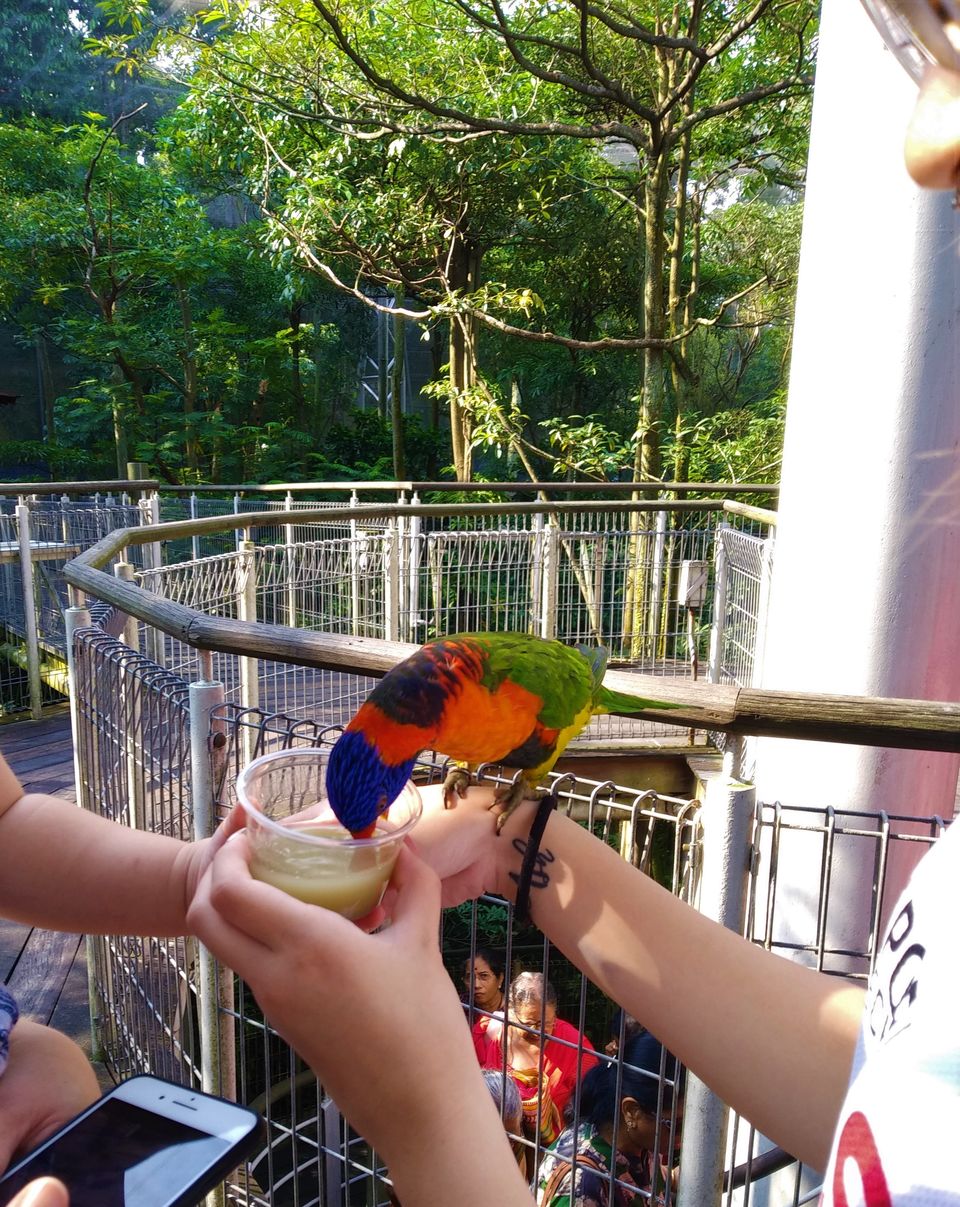 Photo of Jurong Bird Park, Singapore by AtharVa LeLe