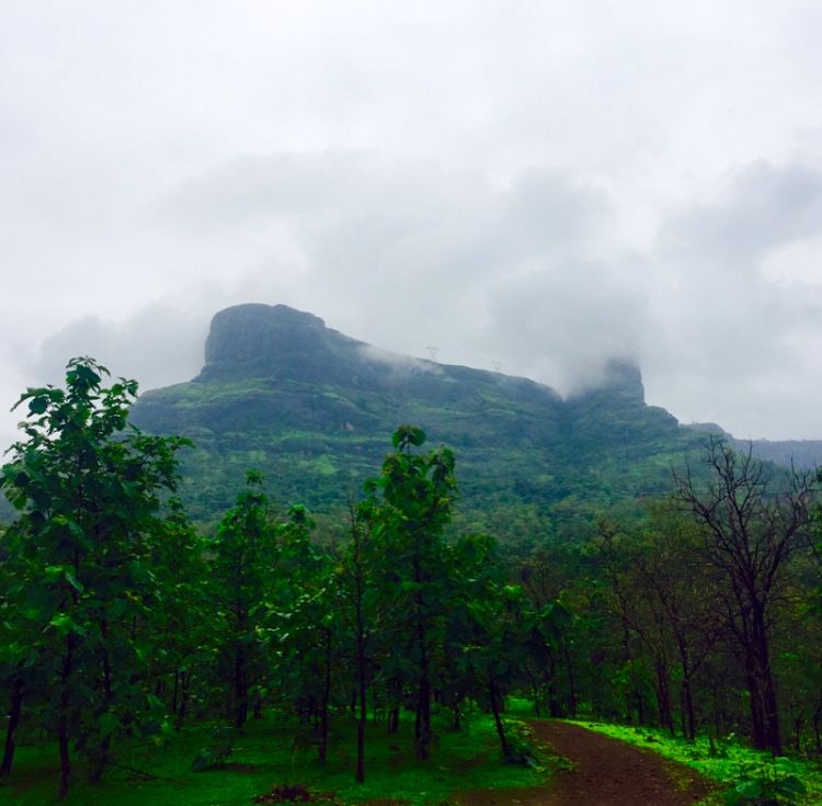 Photo of All you need to know about trekking the Sahyadri range. 2/29 by AtharVa LeLe