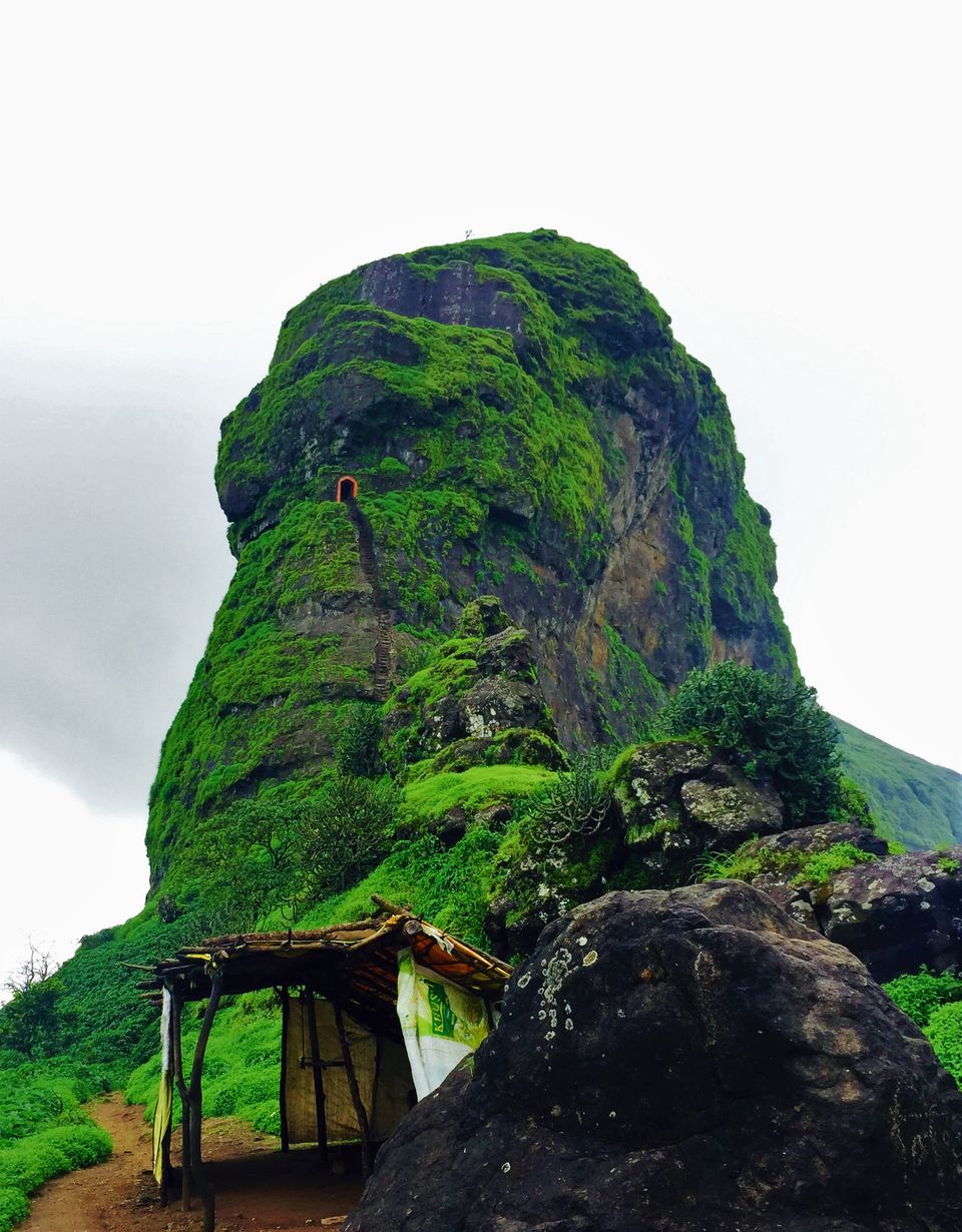 Photo of All you need to know about trekking the Sahyadri range. 17/29 by AtharVa LeLe