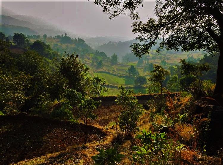 Photo of All you need to know about trekking the Sahyadri range. 19/29 by AtharVa LeLe