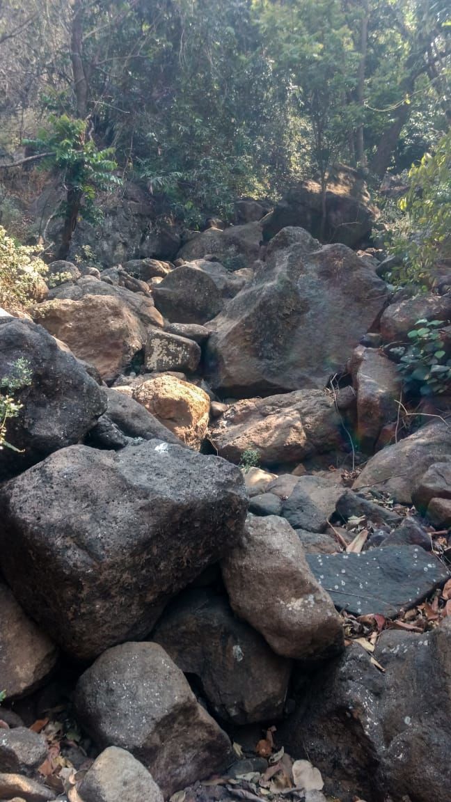 Photo of Exploring The Unexplored Trails Of Sudhagadh. 7/7 by AtharVa LeLe