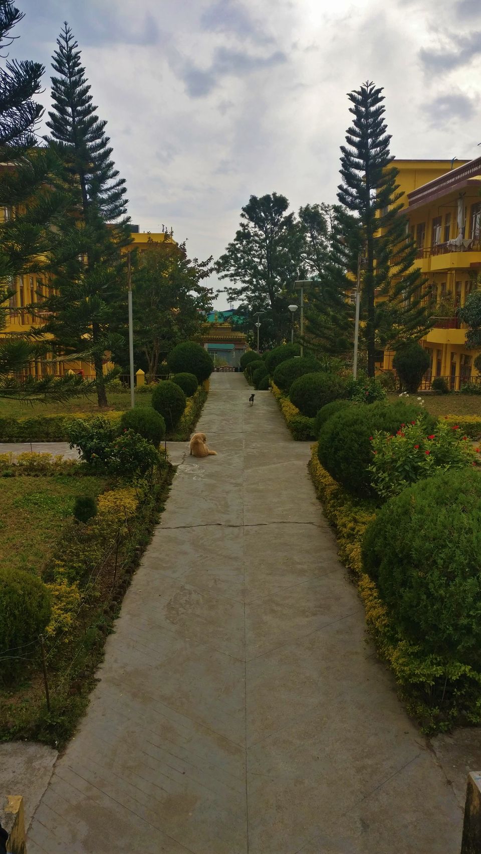 Photo of Captivating Himachal with an audacious detour #offbeatgetaway by AtharVa LeLe
