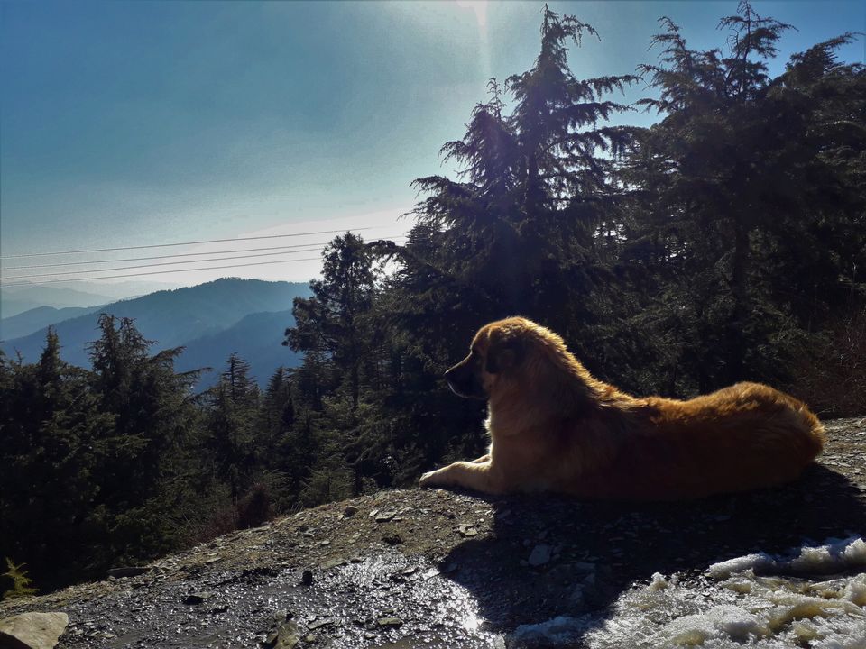 Photo of Kufri, Himachal Pradesh, India by AtharVa LeLe